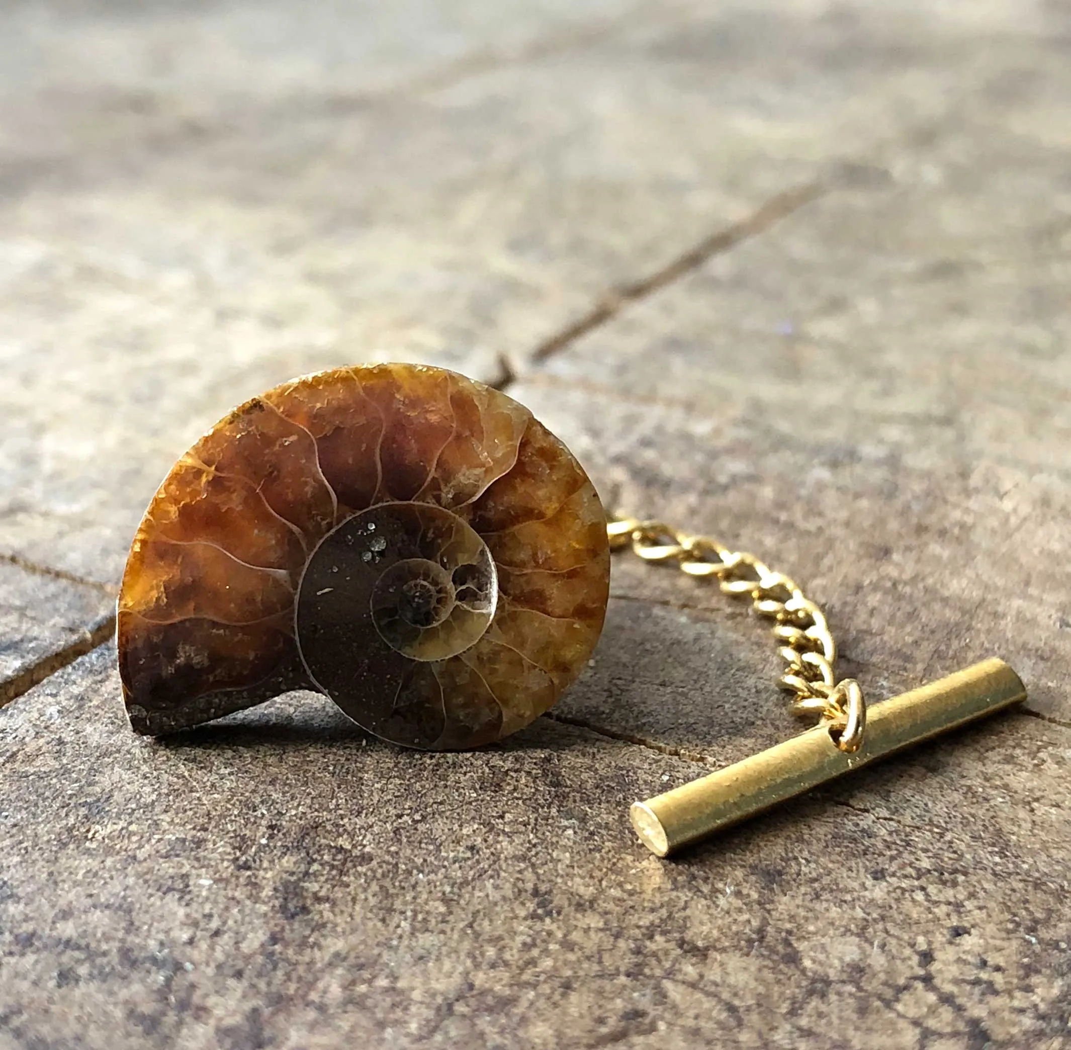 Ammonite Tie Tack, fossil tie pin