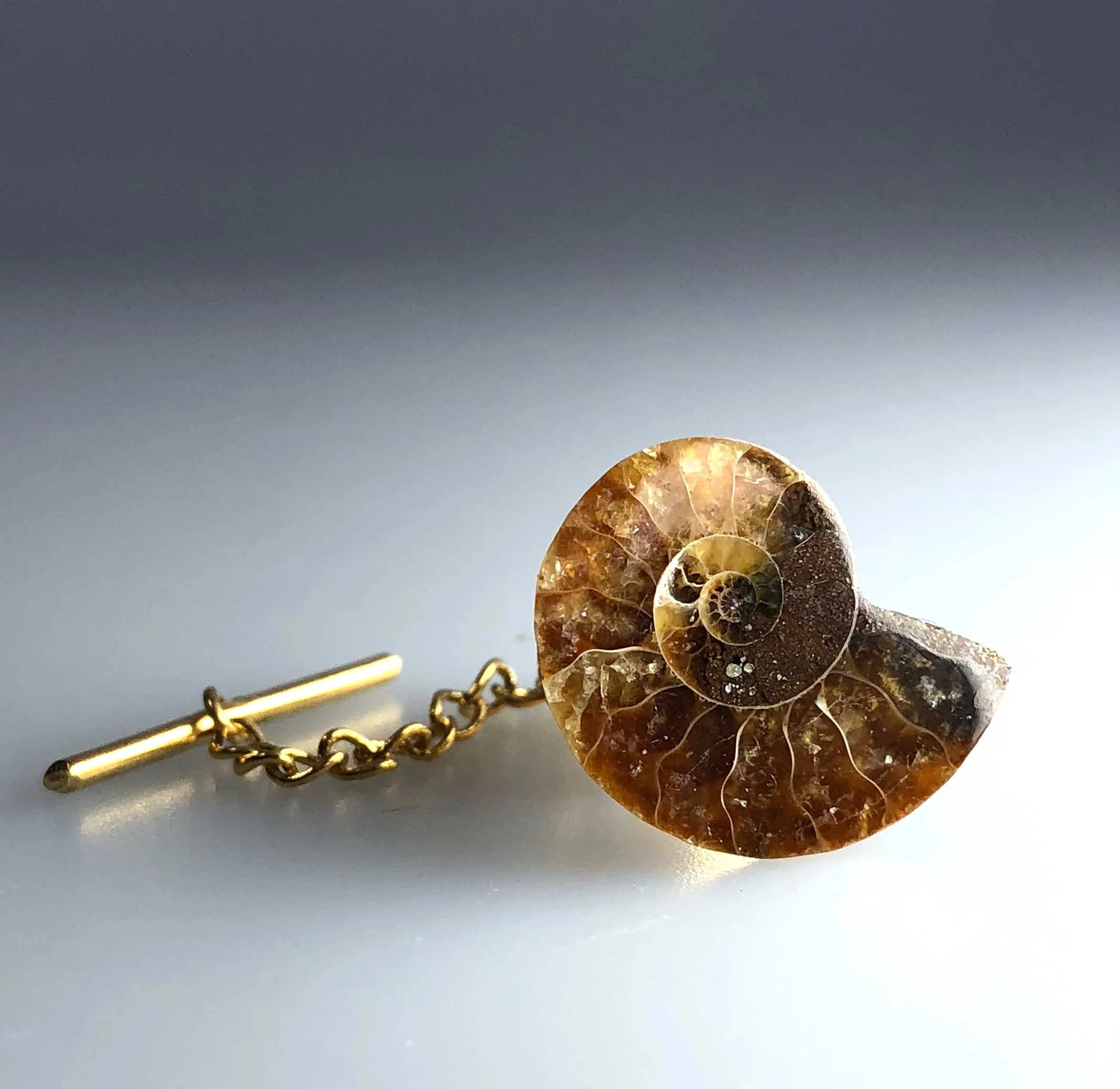 Ammonite Tie Tack, fossil tie pin