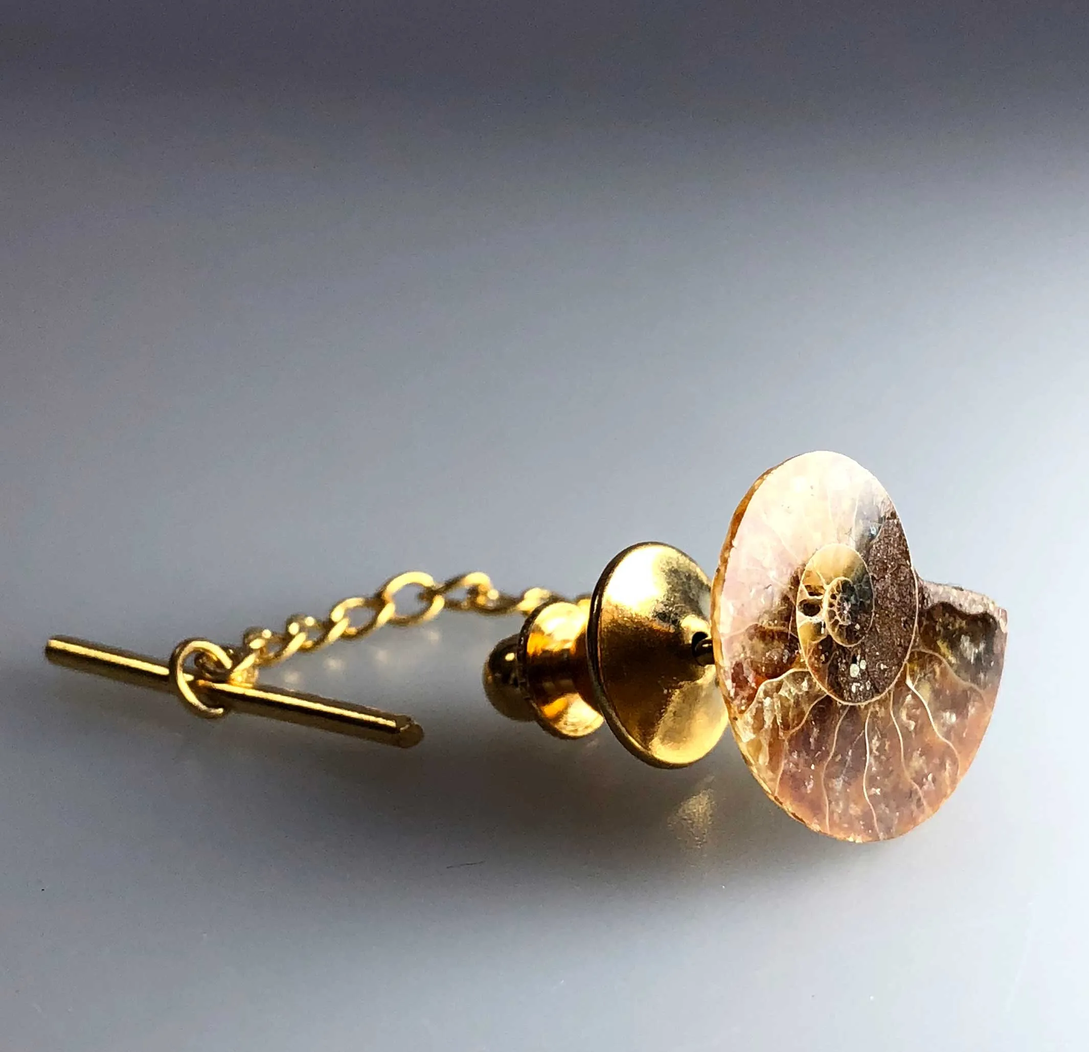 Ammonite Tie Tack, fossil tie pin