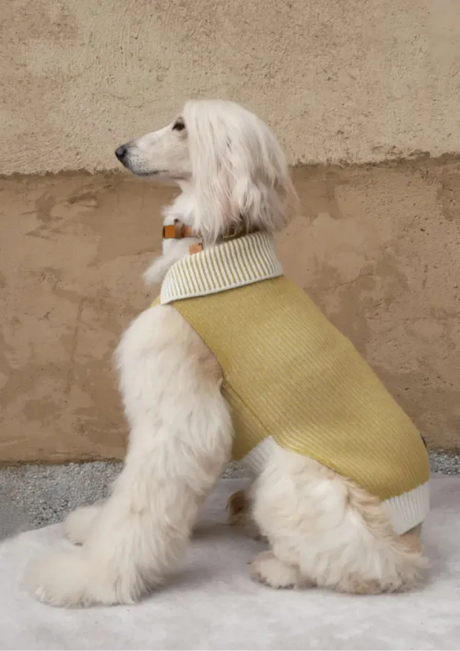 Double-sided Merino Wool Stripe Dog Jumper