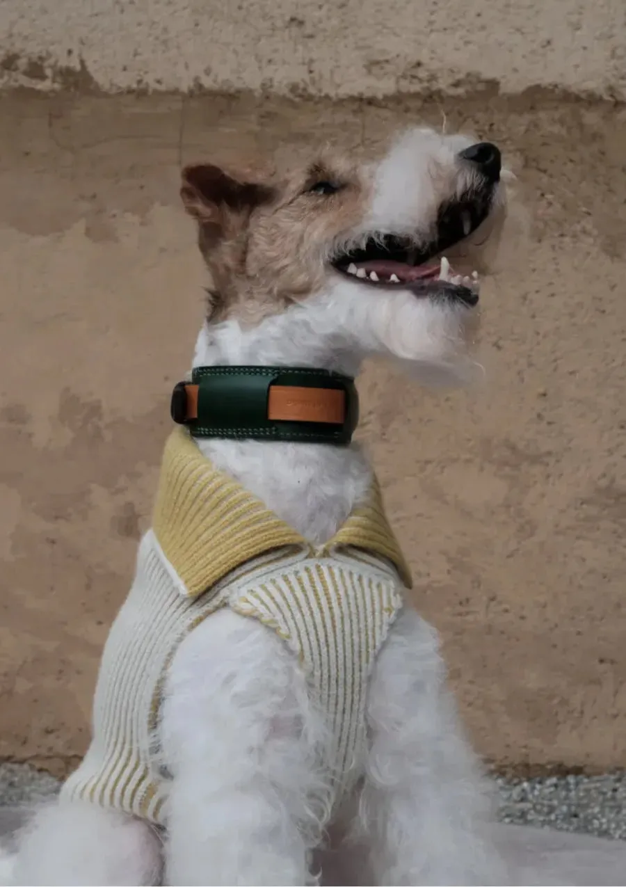 Double-sided Merino Wool Stripe Dog Jumper