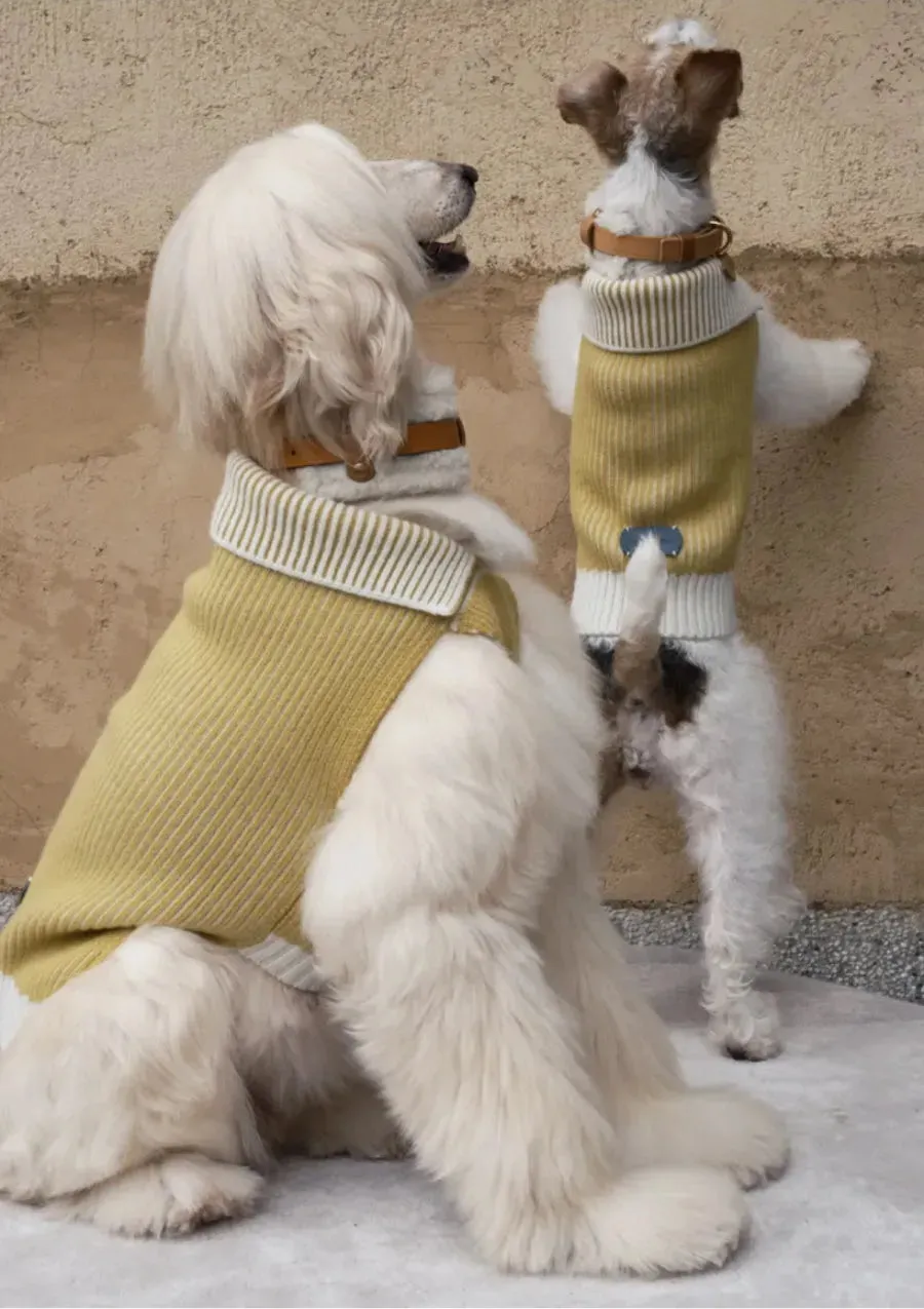 Double-sided Merino Wool Stripe Dog Jumper