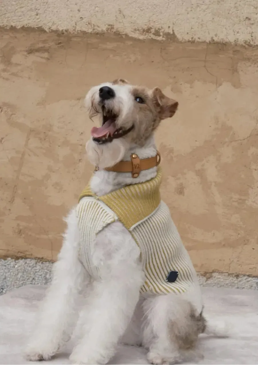 Double-sided Merino Wool Stripe Dog Jumper