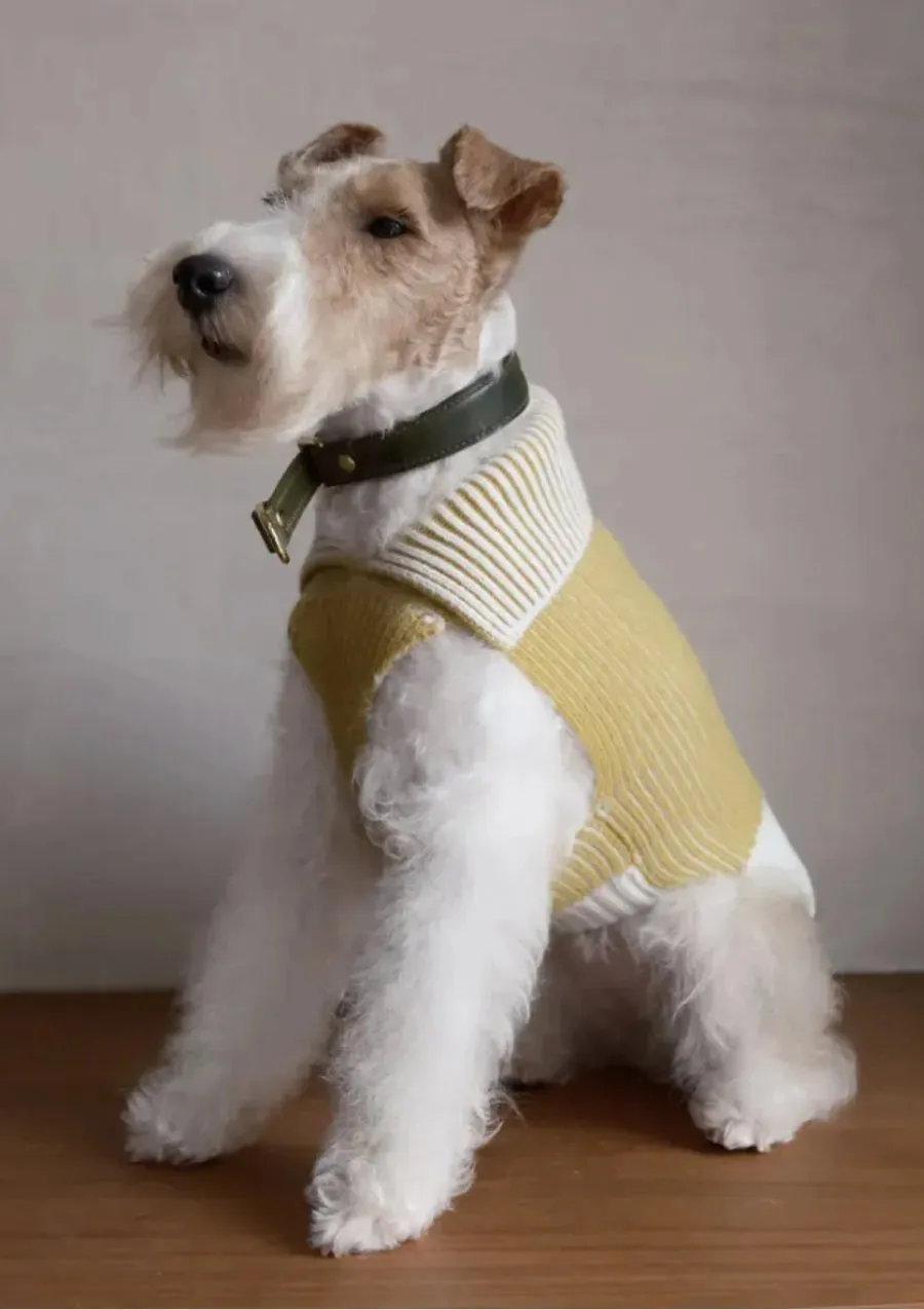 Double-sided Merino Wool Stripe Dog Jumper