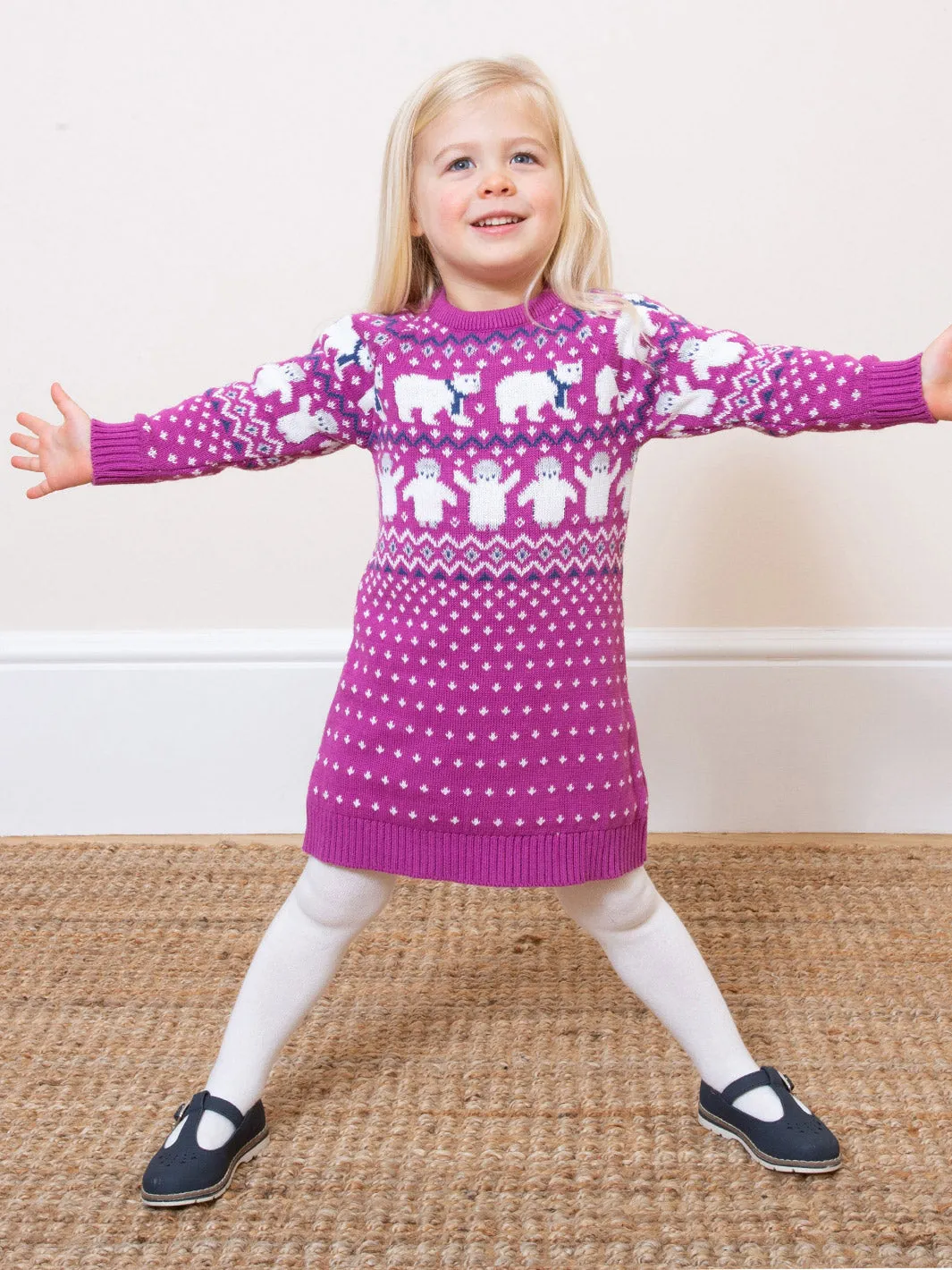 Polar pals knit dress