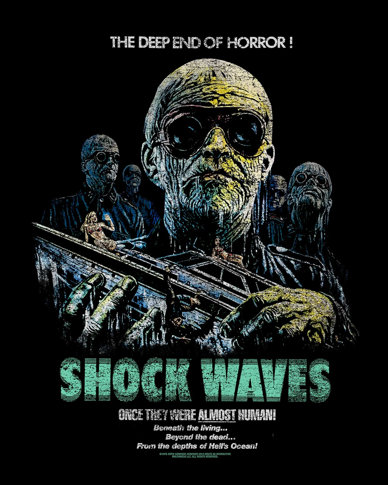 Shock Waves